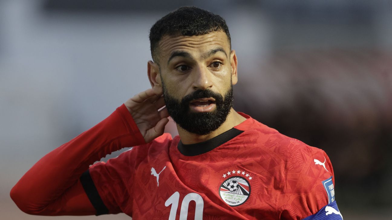 FIFA要求埃及世界杯球衣去掉七颗星，EFA证实已收到通知
